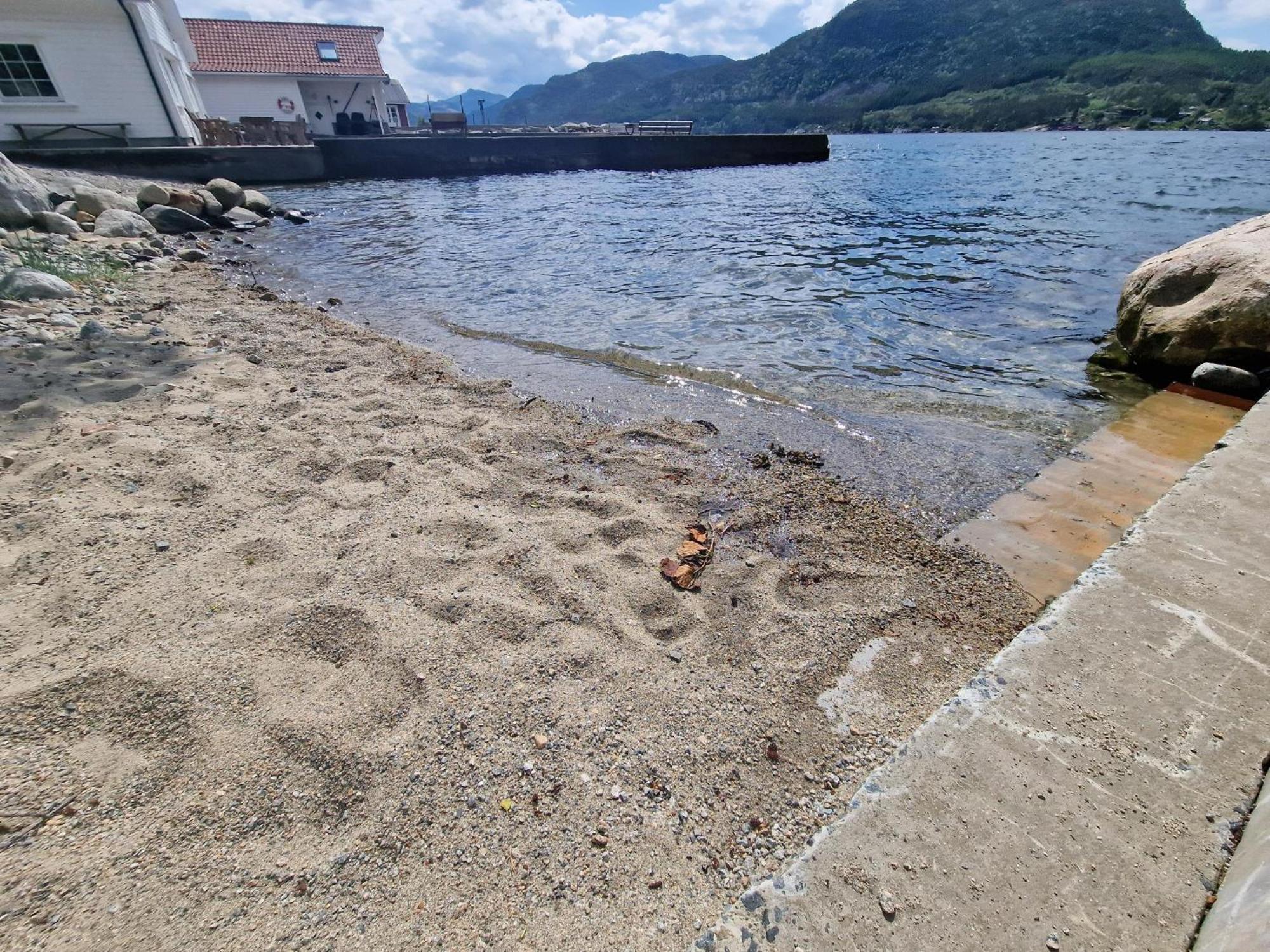 Preikestolen Panorama - Seaside Apartments Jørpeland エクステリア 写真